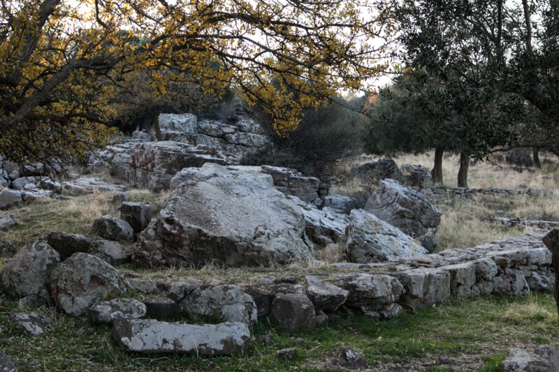 On the olive mountain