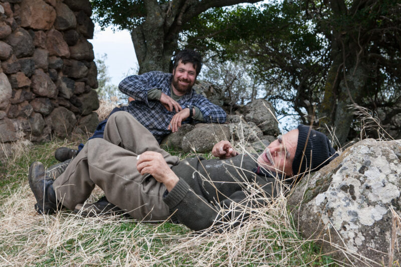 On the olive mountain