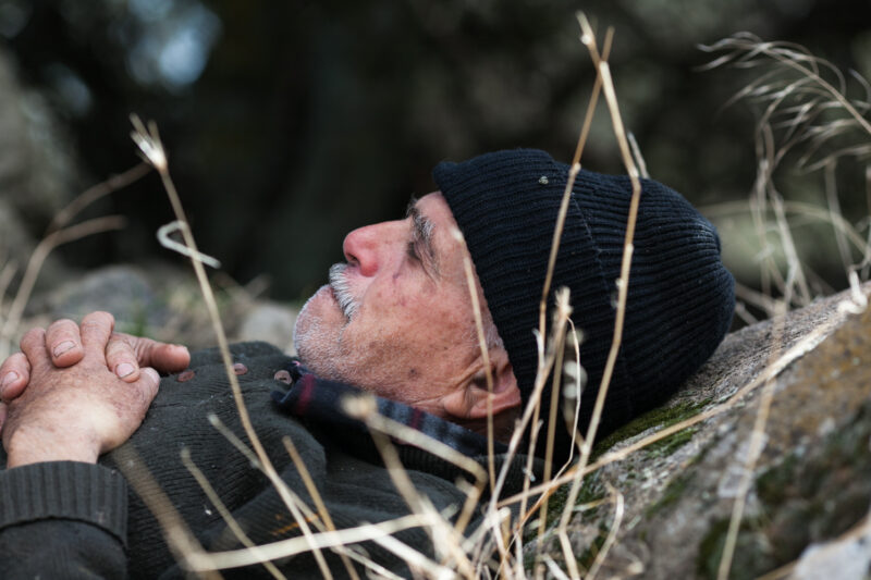 On the olive mountain