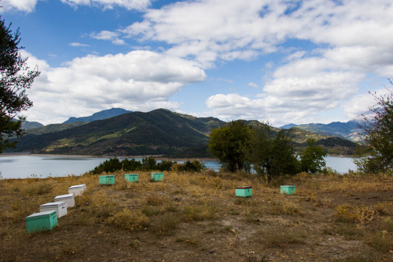 Beehives, Techniti Limni Mornou