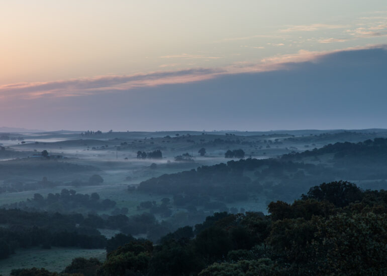 São Pedro das Cabeças