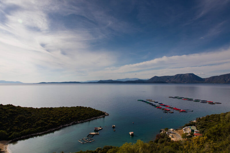 Fish farms