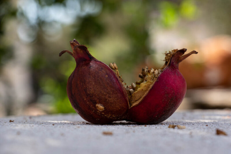 Walking around Charouda