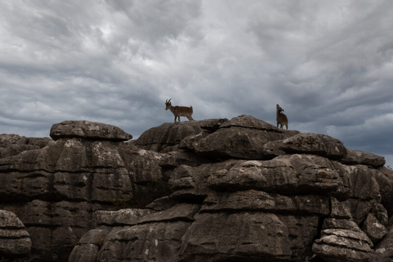 Torcal de Antequera