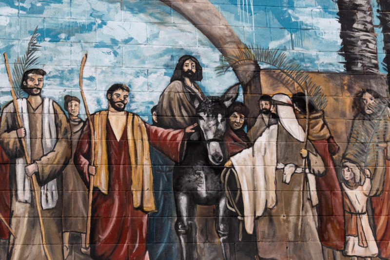 Oliva de la Frontera