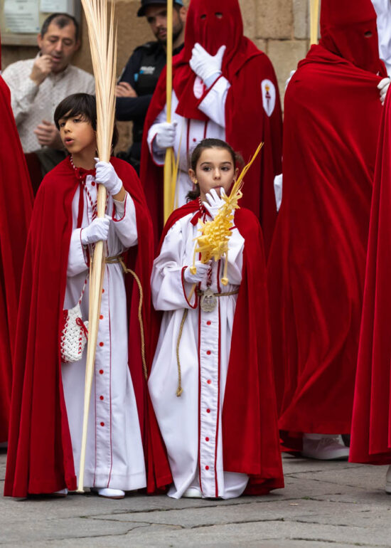 Palm Sunday in Mérida