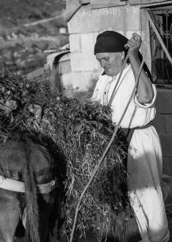 After a day on the land- Olympos