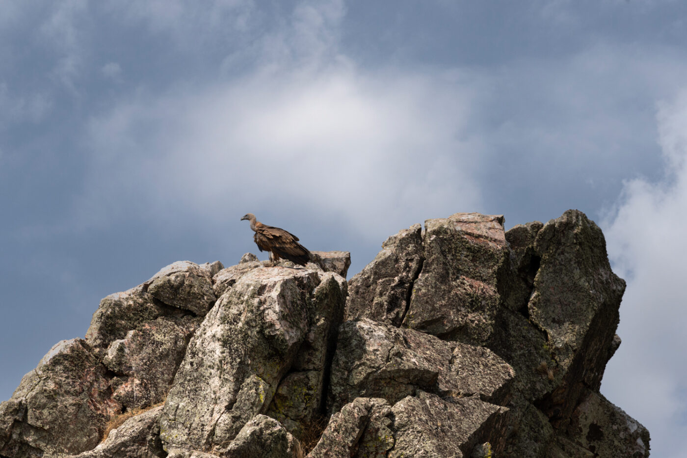 Parque Nacional de Monfraqüe