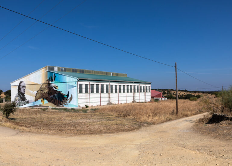 Carbajo