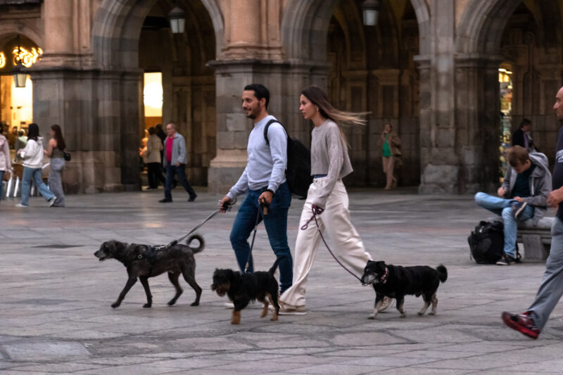 Plaza Mayor