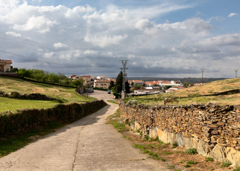 Alcántara