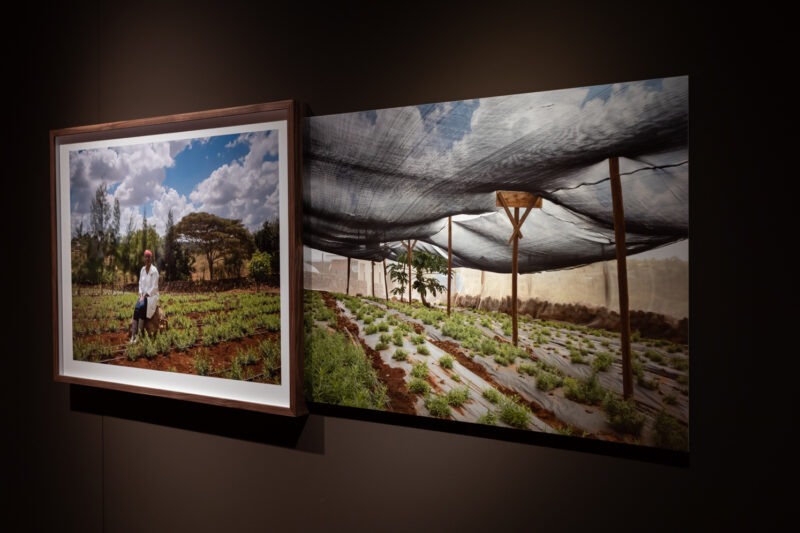 Fotomuseum Rotterdam