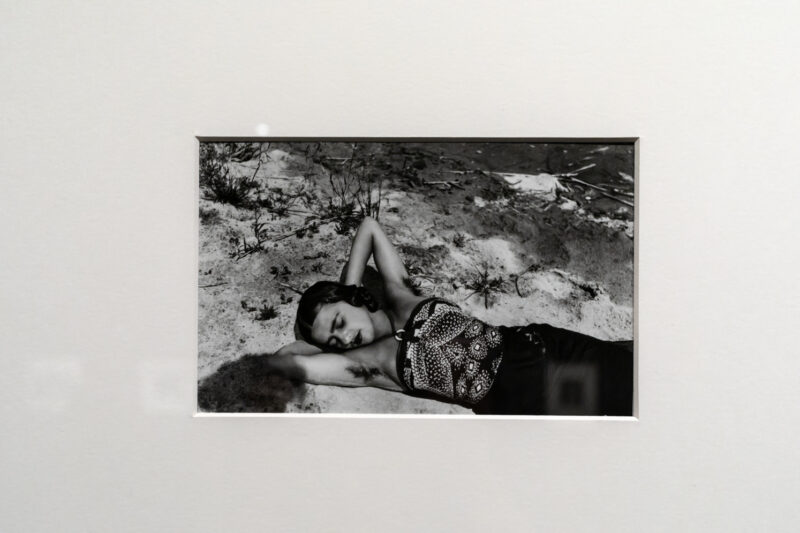 Expositie Amrita Sher-Gil
