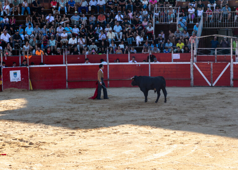 Bullfight by young toreros