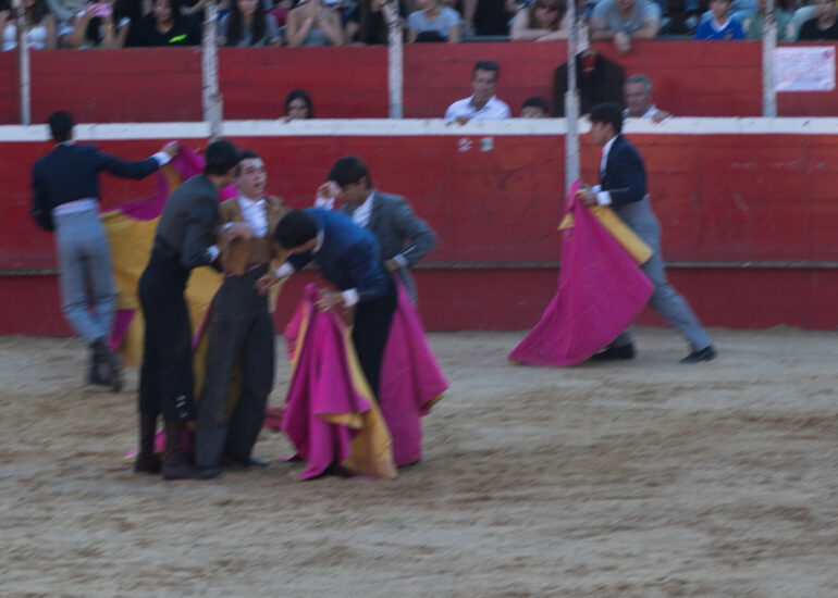 Bullfight by young toreros