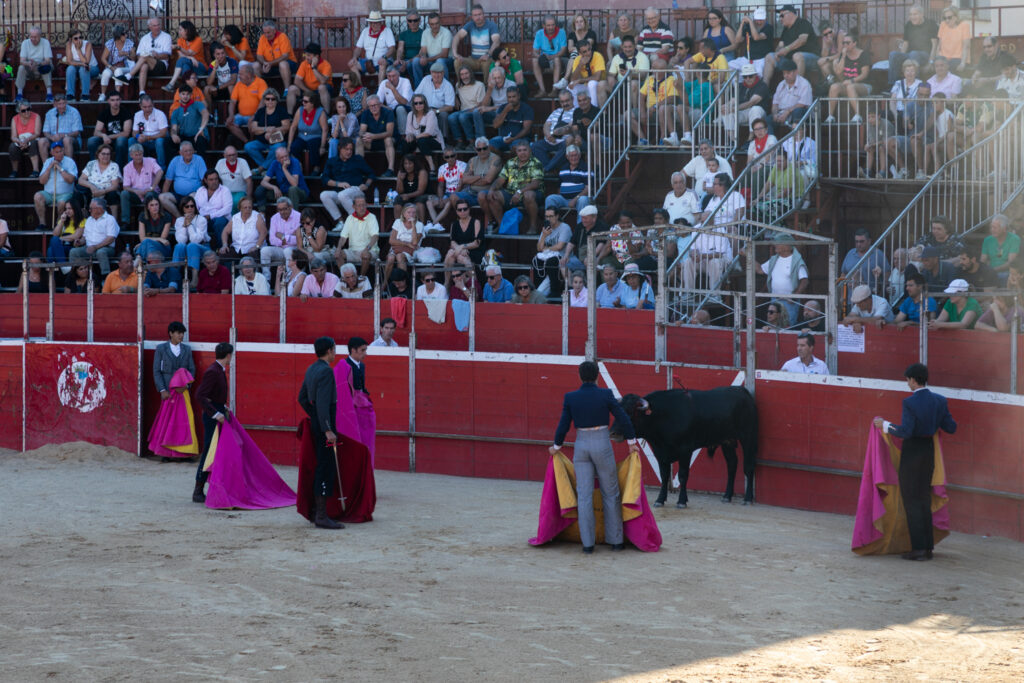 Bullfight by young toreros