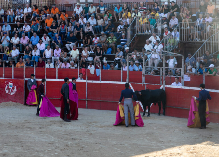 Bullfight by young toreros