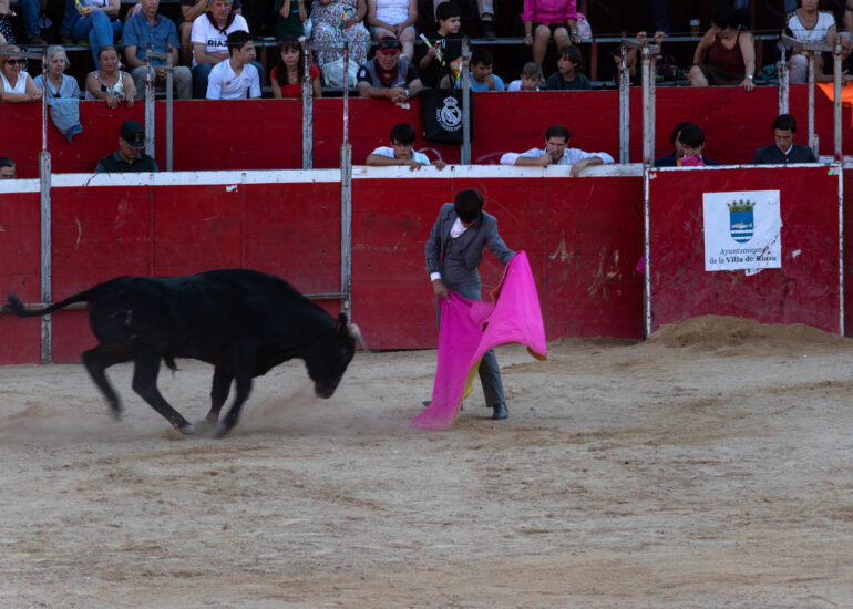 Bullfight by young toreros