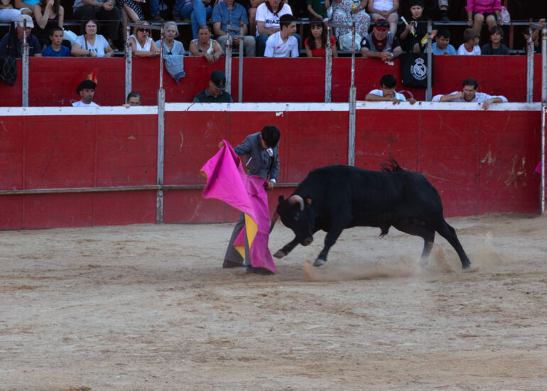 Bullfight by young toreros