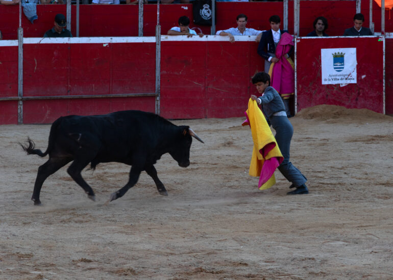 Bullfight by young toreros