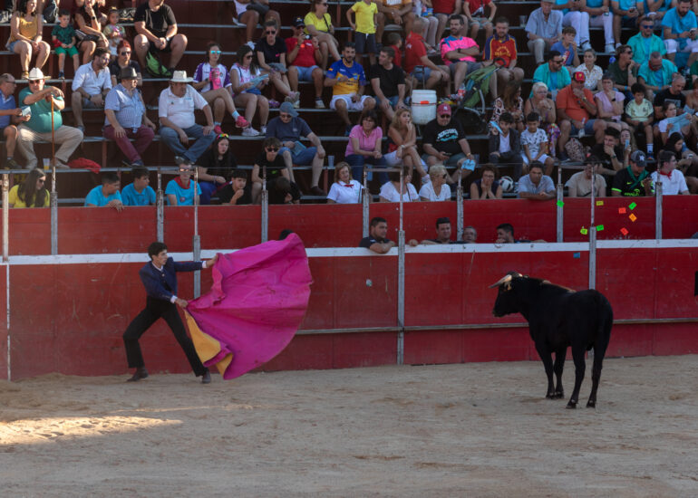 Bullfight by young toreros