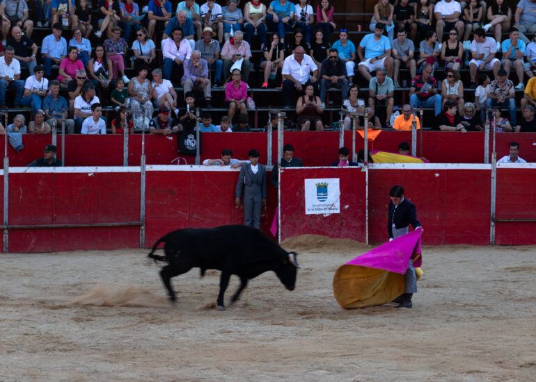 Bullfight by young toreros