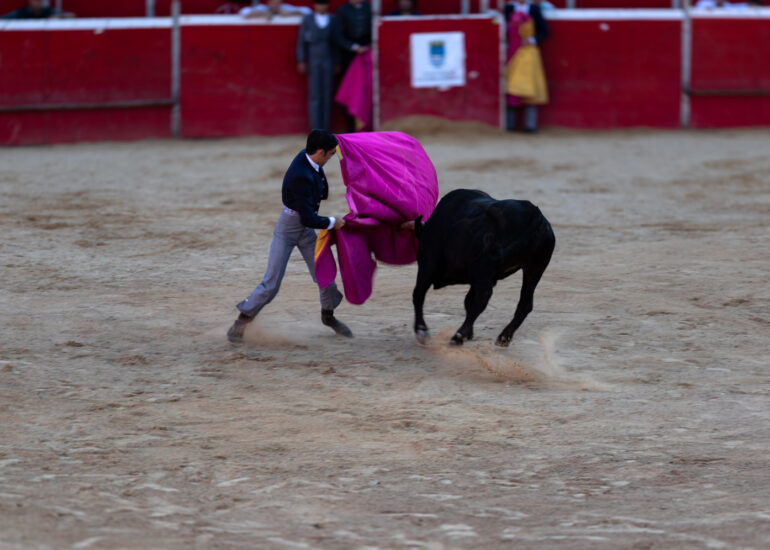 Bullfight by young toreros