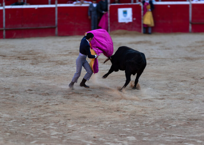 Bullfight by young toreros