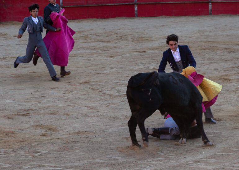 Bullfight by young toreros