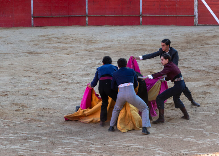 Bullfight by young toreros