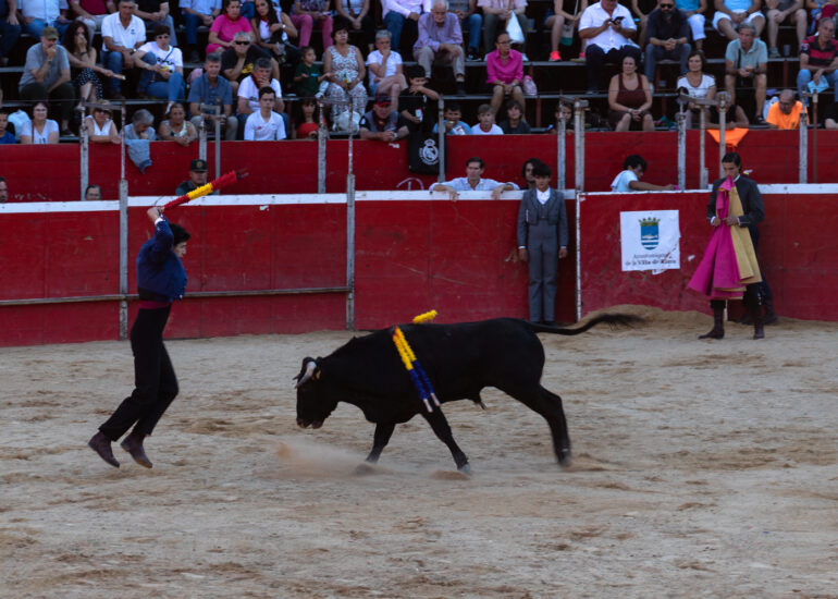 Bullfight by young toreros