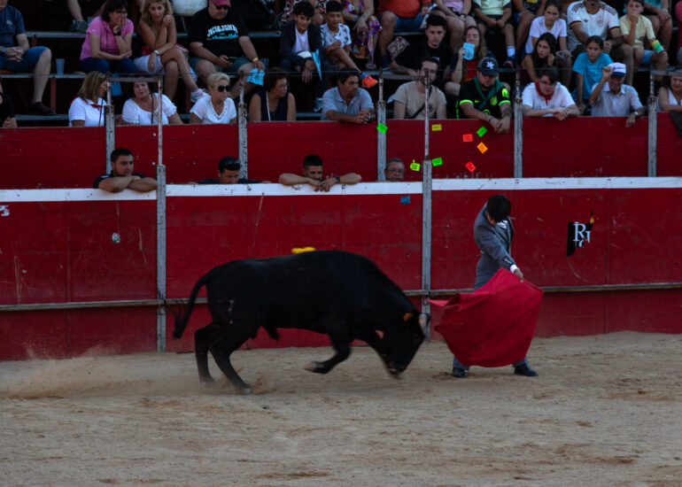 Bullfight by young toreros