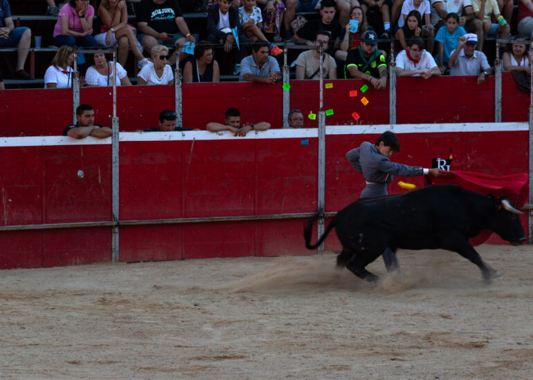 Bullfight by young toreros
