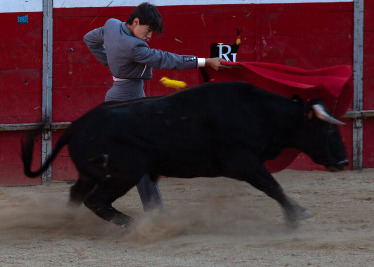 Bullfight by young toreros