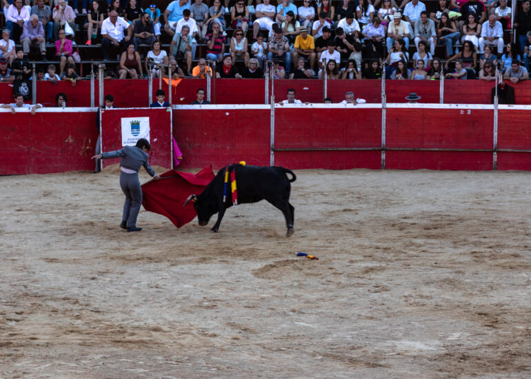 Bullfight by young toreros