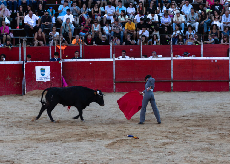 Bullfight by young toreros